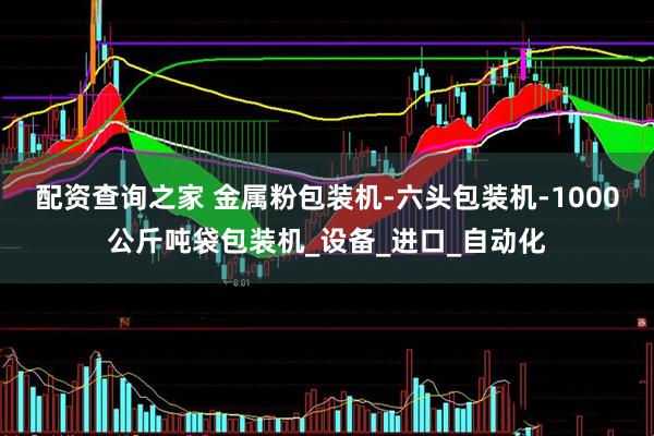 配资查询之家 金属粉包装机-六头包装机-1000公斤吨袋包装机_设备_进口_自动化